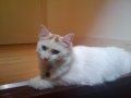 2010-05-15 18.50.46.jpg