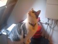 2010-05-15 18.52.37.jpg