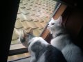2010-05-15 18.55.21.jpg