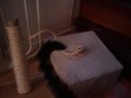 2010-06-02 18.37.45.jpg